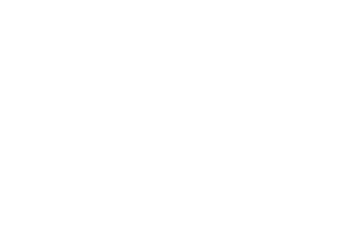 Beyond the Trail